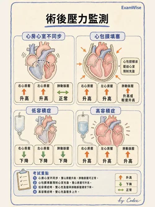 呼吸治療師 - 小兒相關重症 - AI 圖文解析預覽