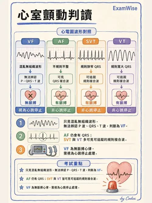 呼吸治療師 - 重症監測與判讀 - AI 圖文解析預覽