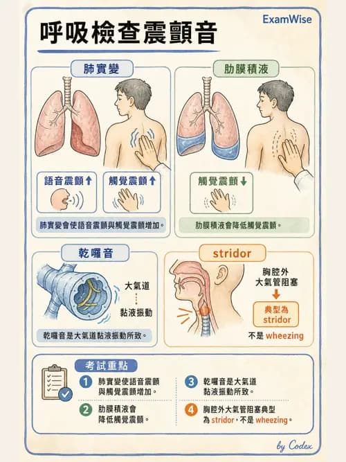 呼吸治療師 - 病人評估與衛教 - AI 圖文解析預覽