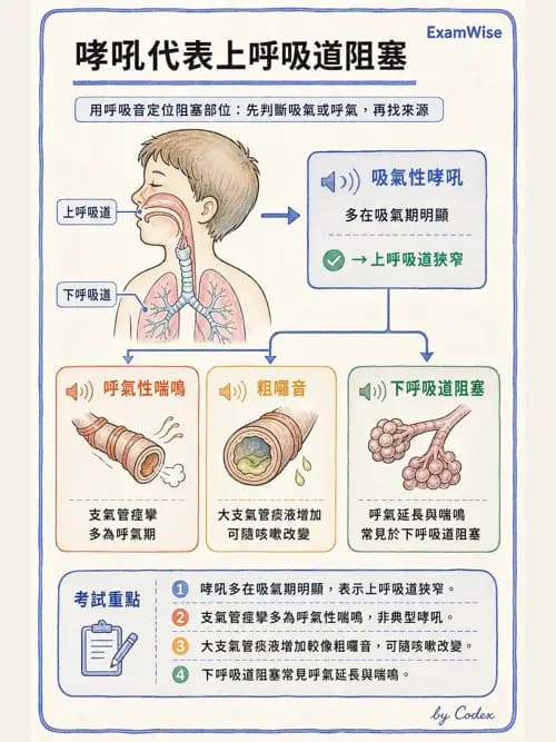 呼吸治療師 - 病人評估與衛教 - AI 圖文解析預覽