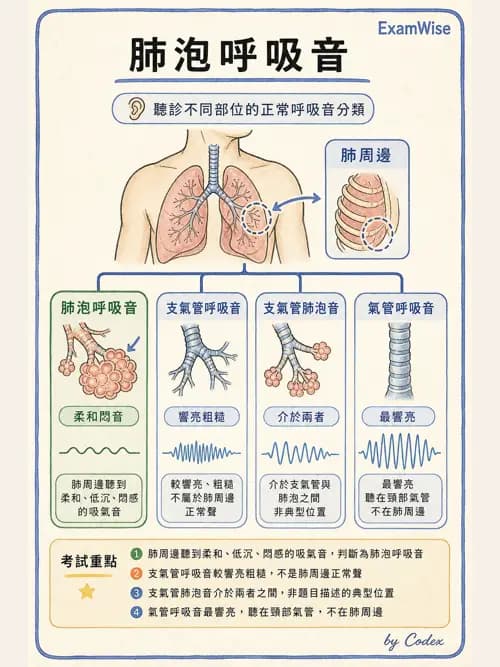 呼吸治療師 - 病人評估與衛教 - AI 圖文解析預覽