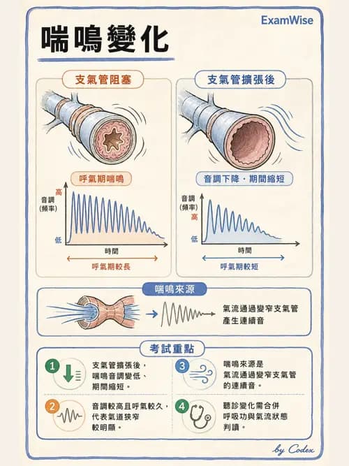 呼吸治療師 - 病人評估與衛教 - AI 圖文解析預覽