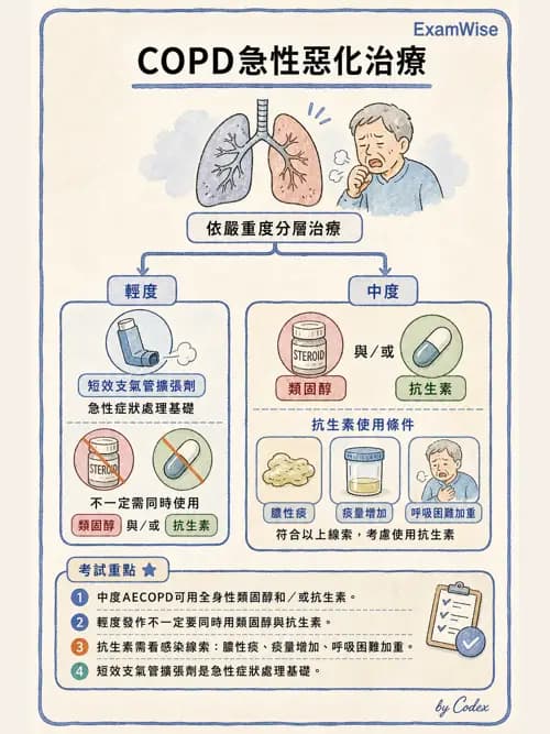 呼吸治療師 - 慢性氣道疾病 - AI 圖文解析預覽