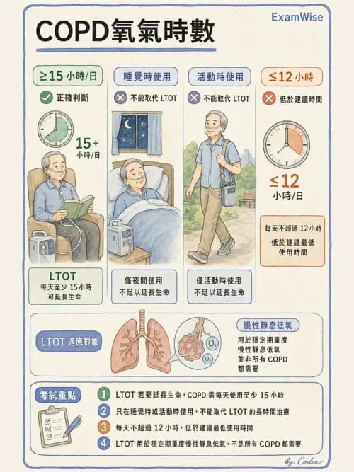 呼吸治療師 - 慢性氣道疾病 - AI 圖文解析預覽
