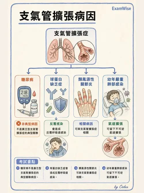 呼吸治療師 - 慢性氣道疾病 - AI 圖文解析預覽