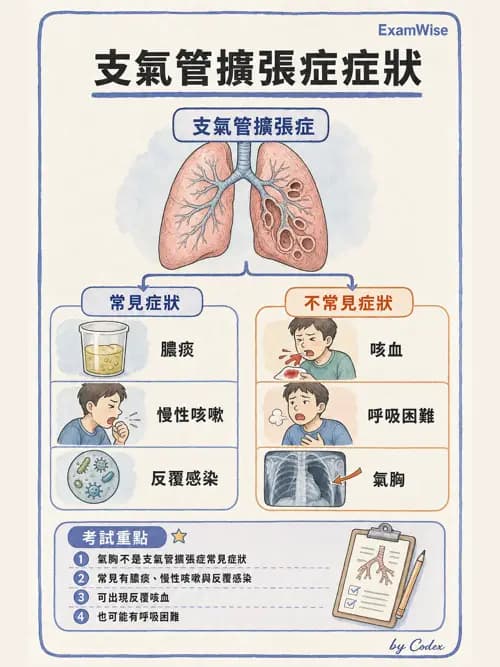 呼吸治療師 - 慢性氣道疾病 - AI 圖文解析預覽