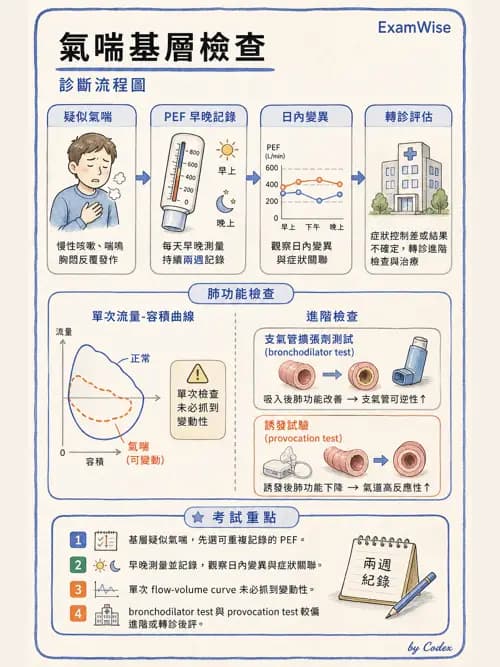 呼吸治療師 - 慢性氣道疾病 - AI 圖文解析預覽