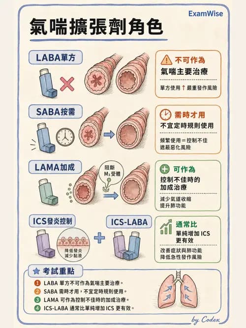呼吸治療師 - 慢性氣道疾病 - AI 圖文解析預覽