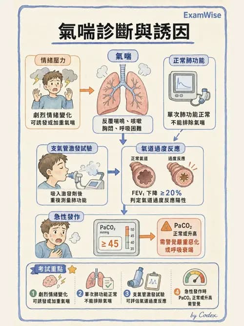 呼吸治療師 - 慢性氣道疾病 - AI 圖文解析預覽