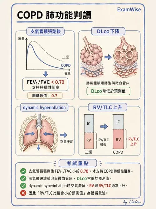 呼吸治療師 - 慢性氣道疾病 - AI 圖文解析預覽