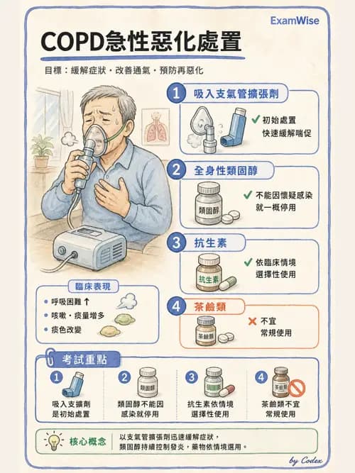呼吸治療師 - 慢性氣道疾病 - AI 圖文解析預覽
