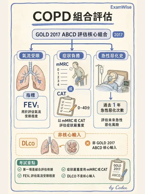 呼吸治療師 - 慢性氣道疾病 - AI 圖文解析預覽