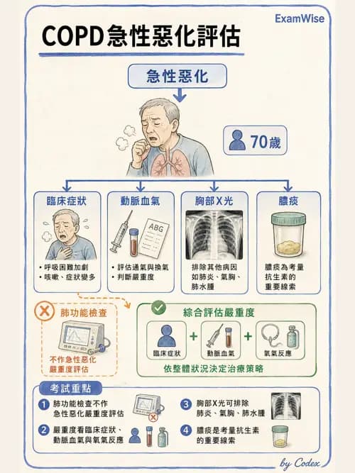 呼吸治療師 - 慢性氣道疾病 - AI 圖文解析預覽