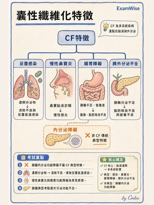 呼吸治療師 - 慢性氣道疾病 - AI 圖文解析預覽