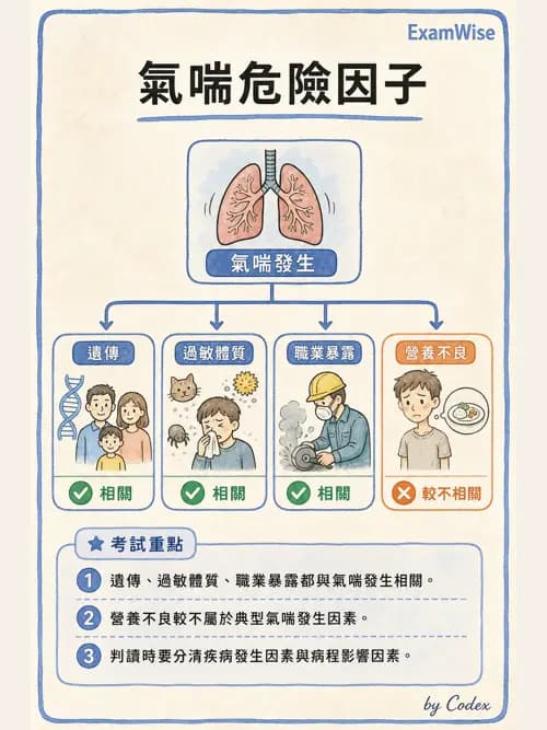 呼吸治療師 - 慢性氣道疾病 - AI 圖文解析預覽