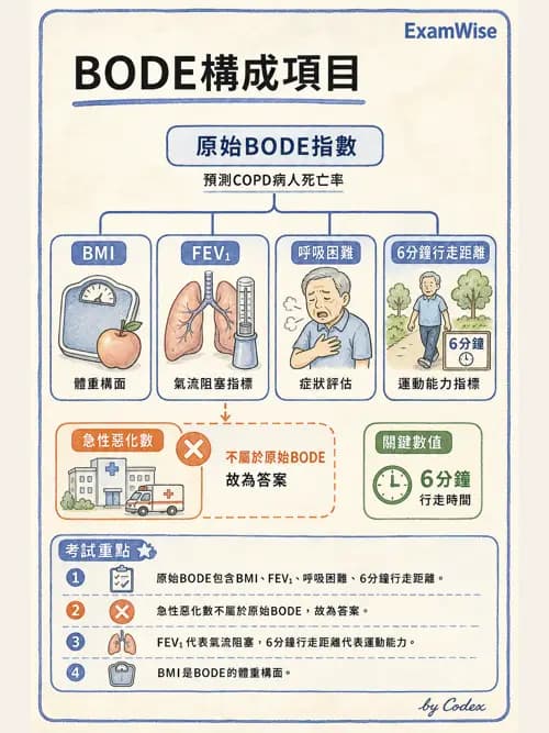 呼吸治療師 - 慢性氣道疾病 - AI 圖文解析預覽