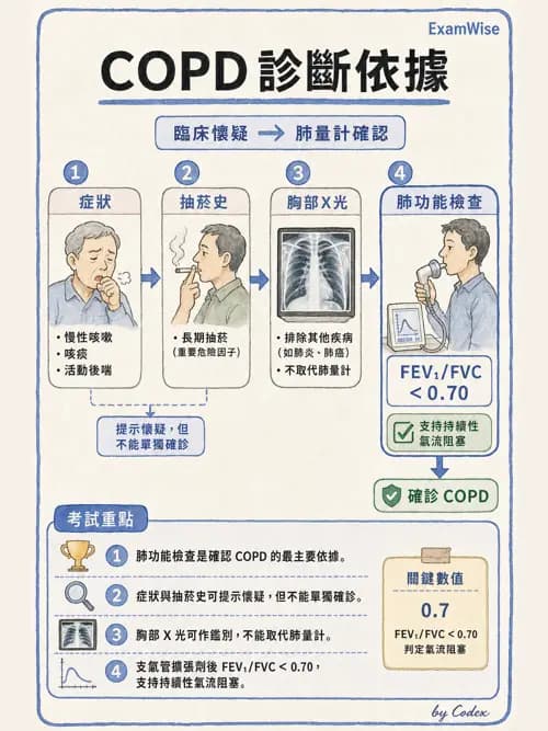 呼吸治療師 - 慢性氣道疾病 - AI 圖文解析預覽