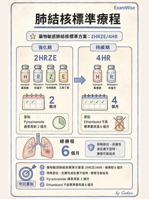 呼吸治療師 - 感染性肺疾 - AI 圖文解析預覽