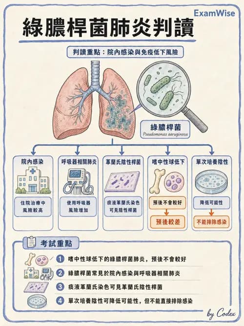 呼吸治療師 - 感染性肺疾 - AI 圖文解析預覽