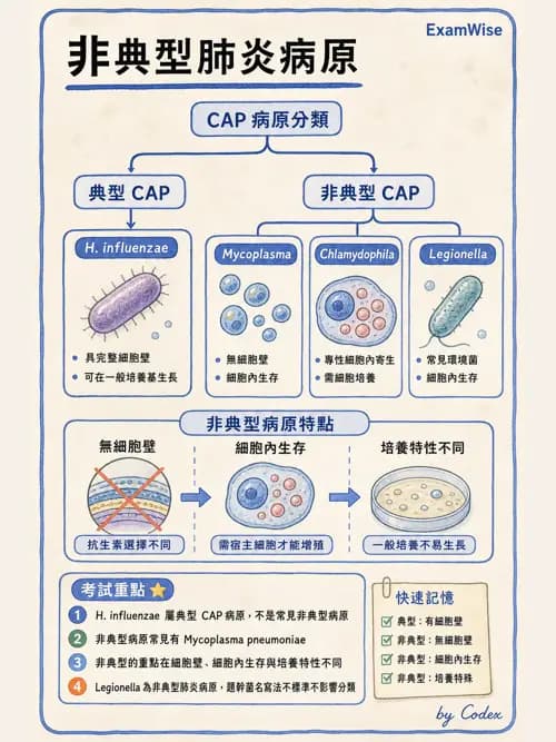 呼吸治療師 - 感染性肺疾 - AI 圖文解析預覽