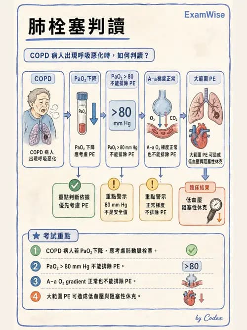 呼吸治療師 - 肺間質病變 - AI 圖文解析預覽