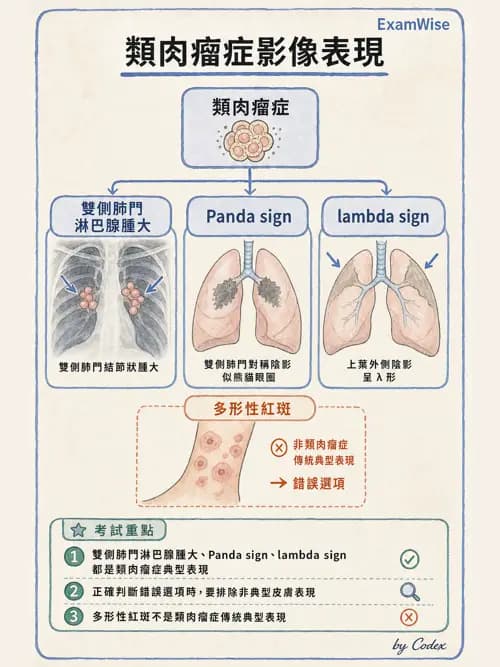 呼吸治療師 - 肺間質病變 - AI 圖文解析預覽