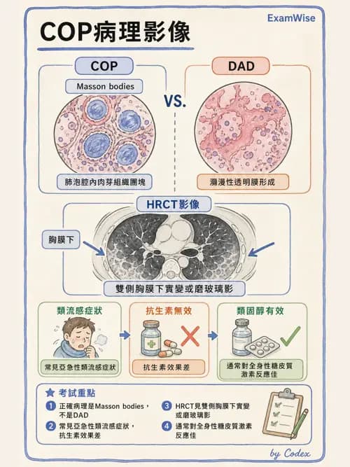 呼吸治療師 - 肺間質病變 - AI 圖文解析預覽