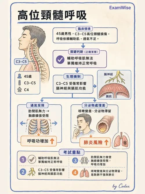 呼吸治療師 - 外力傷害與胸廓病變 - AI 圖文解析預覽
