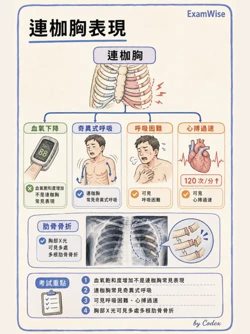 呼吸治療師 - 外力傷害與胸廓病變 - AI 圖文解析預覽