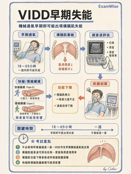 呼吸治療師 - 神經肌肉病變與腫瘤 - AI 圖文解析預覽