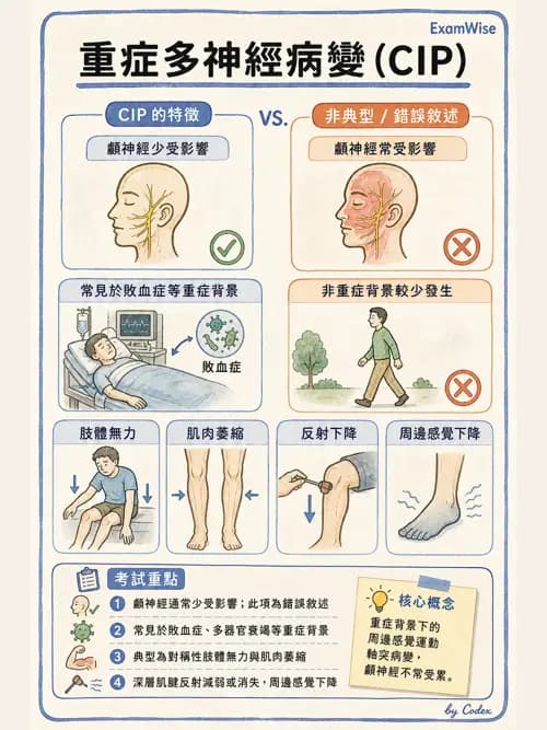 呼吸治療師 - 神經肌肉病變與腫瘤 - AI 圖文解析預覽