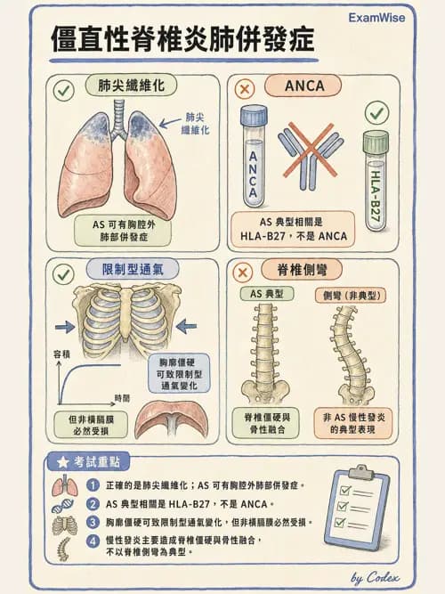 呼吸治療師 - 外力傷害與胸廓病變 - AI 圖文解析預覽