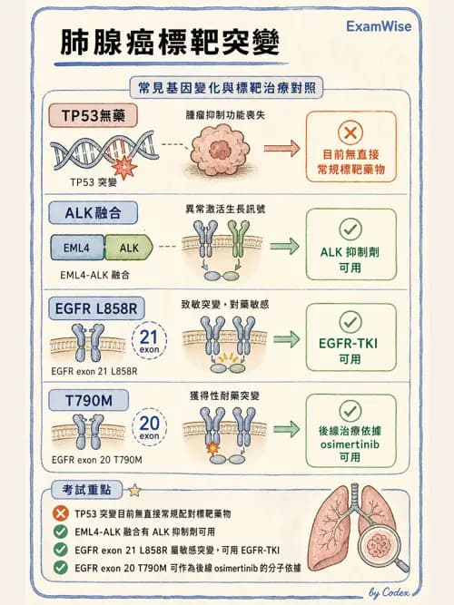 呼吸治療師 - 神經肌肉病變與腫瘤 - AI 圖文解析預覽