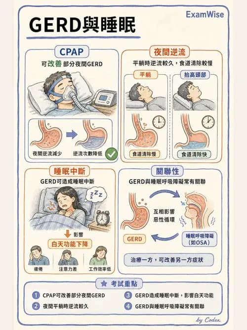 呼吸治療師 - 睡眠相關呼吸障礙 - AI 圖文解析預覽