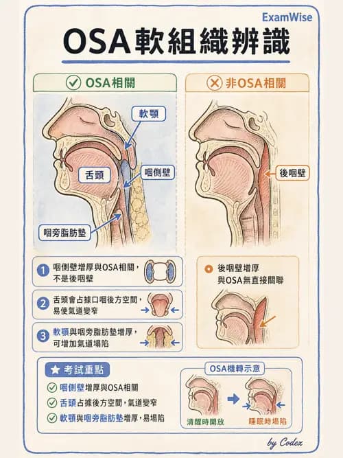 呼吸治療師 - 睡眠相關呼吸障礙 - AI 圖文解析預覽