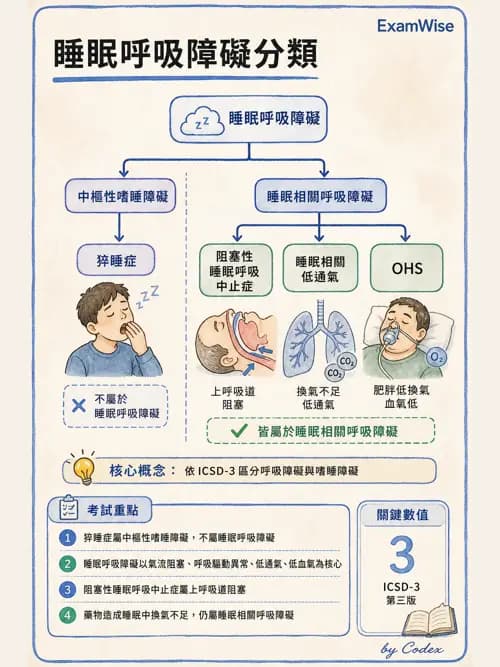 呼吸治療師 - 睡眠相關呼吸障礙 - AI 圖文解析預覽