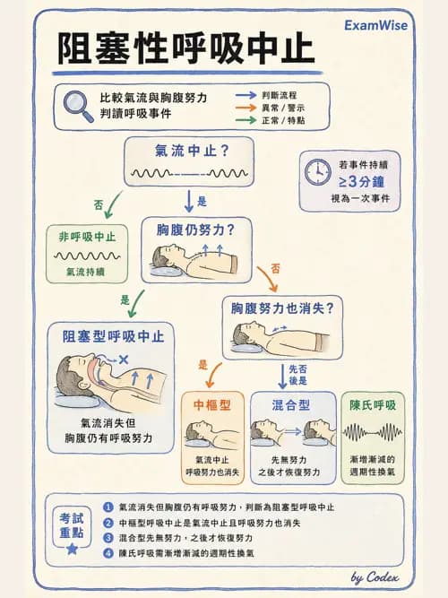 呼吸治療師 - 睡眠相關呼吸障礙 - AI 圖文解析預覽