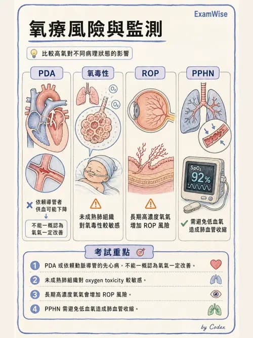 呼吸治療師 - 兒童呼吸系統疾病 - AI 圖文解析預覽