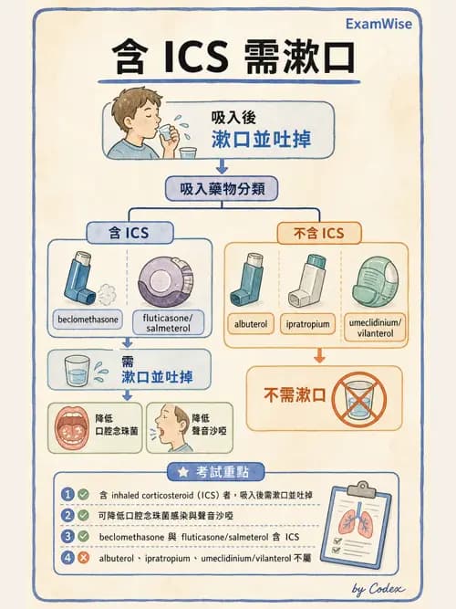呼吸治療師 - 病人評估與衛教 - AI 圖文解析預覽