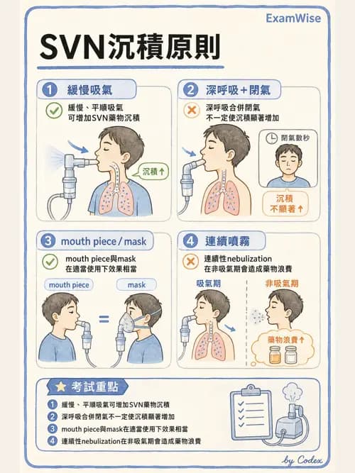 呼吸治療師 - 病人評估與衛教 - AI 圖文解析預覽