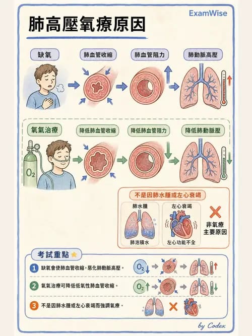 呼吸治療師 - 肺間質病變 - AI 圖文解析預覽