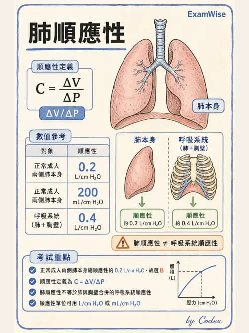 呼吸治療師 - 通氣、呼吸力學與控制 - AI 圖文解析預覽