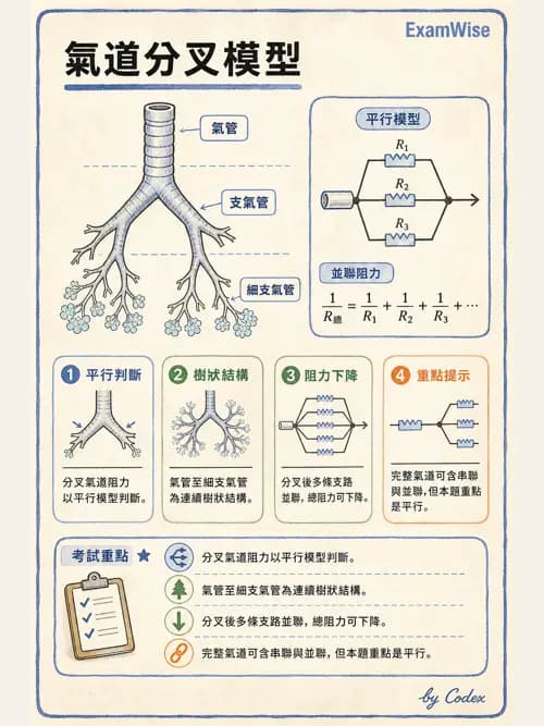 呼吸治療師 - 通氣、呼吸力學與控制 - AI 圖文解析預覽