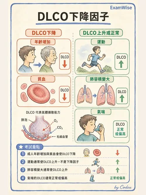 呼吸治療師 - 氣體擴散、交換與肺部代謝 - AI 圖文解析預覽