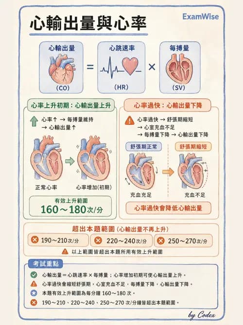 呼吸治療師 - 心臟生理與血液動力學 - AI 圖文解析預覽