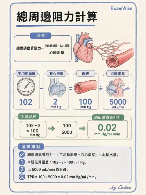 呼吸治療師 - 心臟生理與血液動力學 - AI 圖文解析預覽