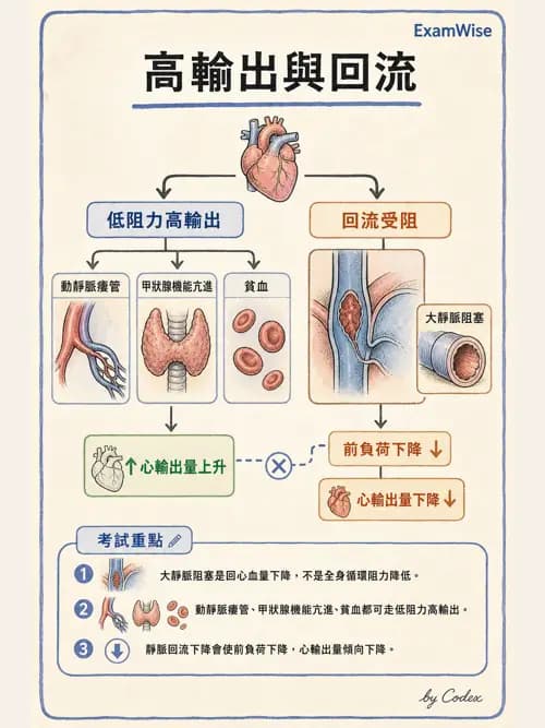 呼吸治療師 - 心臟生理與血液動力學 - AI 圖文解析預覽