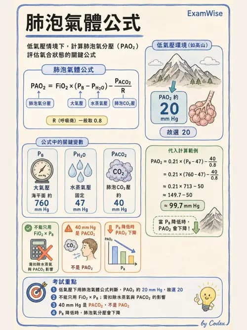 呼吸治療師 - 運動與環境生理 - AI 圖文解析預覽
