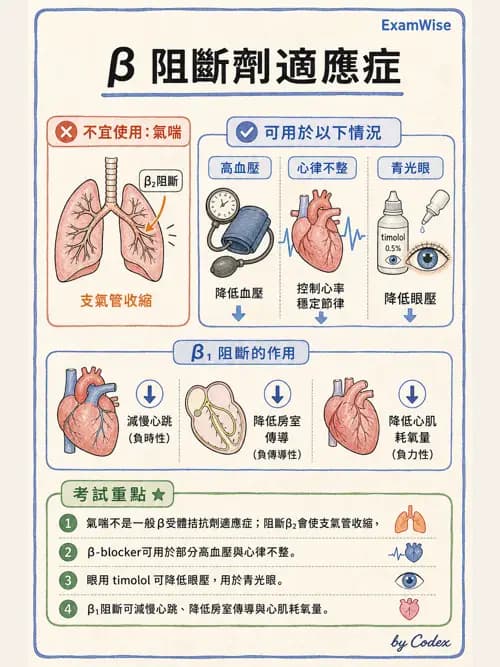 呼吸治療師 - 神經系統藥物 - AI 圖文解析預覽