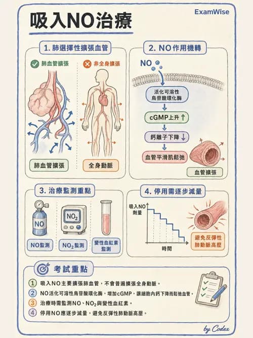 呼吸治療師 - 呼吸系統藥物 - AI 圖文解析預覽